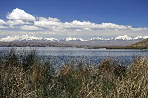 South America, Bolivia, Lake Titicaca. View