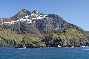 Images Dated 30th June 2010: South Georgia Island, Godthul. Waterfront