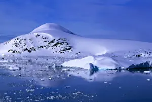 South of Lemaire Channel Antarctic Peninsula JPF42213