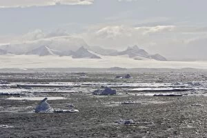 Images Dated 23rd October 2006: South Shetland Islands - Antarctic Pennisular