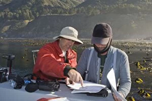 Images Dated 24th September 2010: Southern sea otter researcher Tim Tinker and diver
