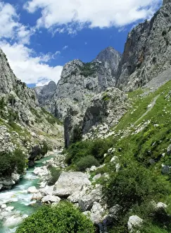 Spain - Picos De Europa, limestone Rio Cares Gorge (Gargantas) Poncebos, North Spain