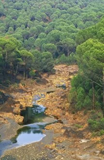 Pines Gallery: Spain - The Rio Tinto (Red river) flowing through
