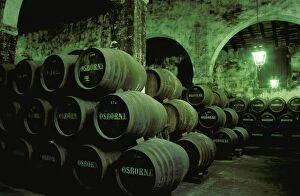 Barrel Gallery: Spain - Stacked oak barrels in one of the cellars