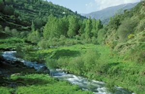 Spain - The Trevelez river when flowing past the
