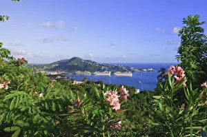 Images Dated 9th June 2010: St. Thomas, US Virgin Islands. Charlotte