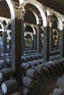 Stacked oak barrels in the cellar La Catedral at the B