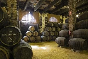 Bodega Gonzalez Byass Gallery: Stacked oak barrels in one of the cellars at the Bodega