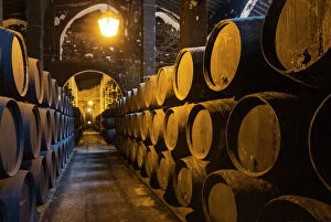 Bodegas Fundador Pedro Domecq Gallery: Stacked oak barrels in one of the cellars at the Bodegas