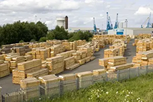 Commercial Prints: Stacked timber at Goole docks Yorkshire UK