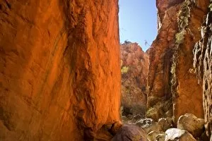 Standley Chasm - the midday sun reflects on the steep, red walls of Standley Chasm