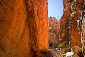 Images Dated 11th June 2008: Standley Chasm - the midday sun reflects on the steep, red walls of Standley Chasm