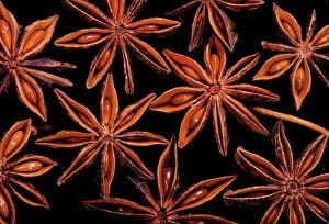 Images Dated 14th October 2005: Star Anise