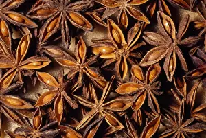 Star Anise - whole seed pod, dried. Herb/spice. Native to: South Western China