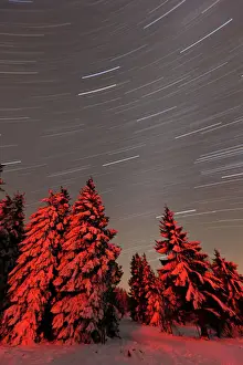 Night Prints: Star trails - in winter sky - Hoher Meissner National park - North Hessen - Germany