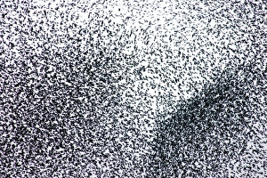 Images Dated 27th February 2008: Starlings