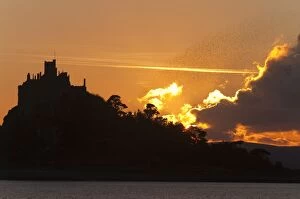 Sunsets & Sunrises Collection: Starlings - going to roost - St Michael's Mount - Cornwall - UK