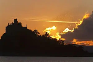 Houses Prints: Starlings - going to roost - St Michael's Mount - Cornwall - UK