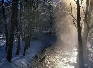 Sun Rays Prints: Steaming brook after a very cold winter night Baden-Wuerttemberg, Germany