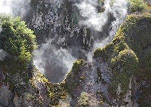 Images Dated 13th January 2005: Steaming hot springs and small geysirs at Craters of the Moon area, near Taupo. Geothermal activity
