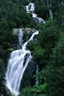 Images Dated 22nd February 2006: Steavensons Falls Marysville, Victoria, Australia DPB00125