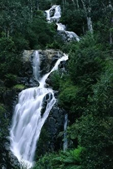 Steavensons Falls - Waterfall