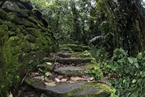Steps at archaeological site of the Lost City (Ciudad
