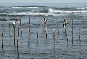 Images Dated 23rd June 2007: Stilt fishermen in southern Sri Lanka- perch here at auspicious states of the tide to catch or