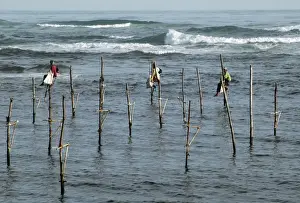 Stilt Prints: Stilt fishermen in southern Sri Lanka- perch here at auspicious states of the tide to catch or spear coastal fishes