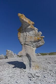 Stone columns at Langhammar - Faroe island - Gotland, Sweden