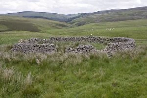 Stone sheep enclosure