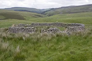 Edinburgh Prints: Stone sheep enclosure Moorfoot Hills Scottish Borders south of Edinburgh Scotland UK