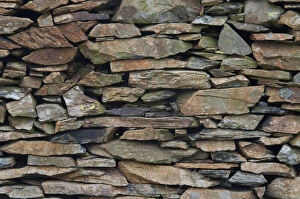 Stone Wall Along Llanberis Path, Snowdonia