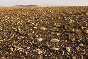 Stony desert or Hamada west of Ouazarzade on the edge of the Sahara