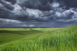 Images Dated 9th June 2010: Storm clouds over agricultural wheat field
