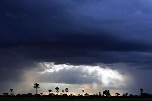 Images Dated 20th January 2007: Storm Clouds - Hwange National Park, Zimbabwe, Africa