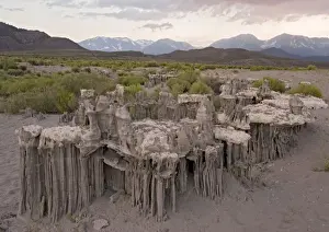 Tufa Prints: Strangely-shaped Sand Tufa Formations - above current water level Lake Mono