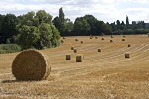 Straw bale - Straw bale in a field