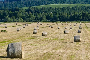 Straw bales in Tuscan field, Val d Orcia