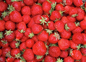 Crop Collection: Strawberries