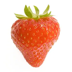 Strawberries - single in studio