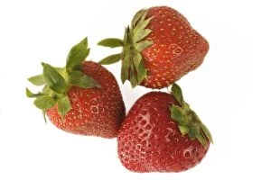 Strawberries - three in studio shot