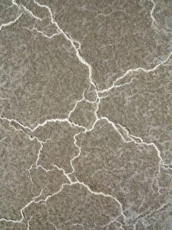 Images Dated 8th April 2012: Structural forms of salt deposits at salt marshes