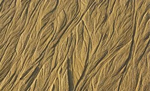 Structural forms in the sand of the beach at the