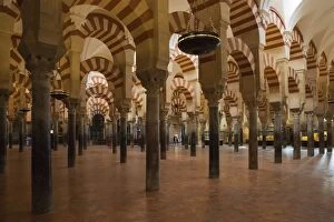 Archway Gallery: The stunning forest of pillars in Cordoba's world