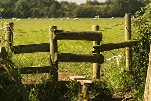 Images Dated 2nd June 2007: Style - on footpath in countryside Oxfordshire, England