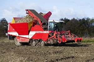 Images Dated 20th October 2011: Sugar Beet - harvesting machine - Seeland - Denmark