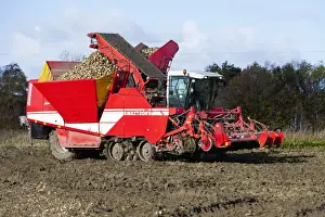 Sugar Prints: Sugar Beet - harvesting machine - Seeland - Denmark