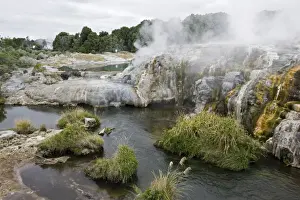 North Island Prints: Sulphur covered rocks and geothermal steam