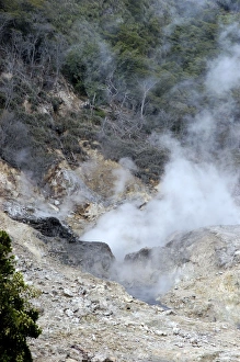 Images Dated 2nd August 2005: Sulphur Springs - Continuously escaping sulphurous fumaroles and hot springs